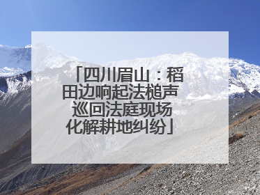 四川眉山：稻田边响起法槌声 巡回法庭现场化解耕地纠纷