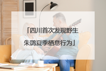 四川首次发现野生朱鹮夏季栖息行为