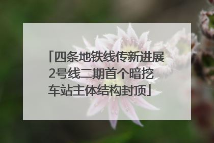 四条地铁线传新进展 2号线二期首个暗挖车站主体结构封顶