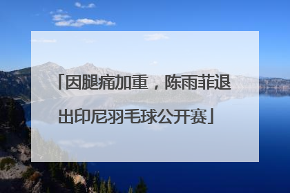 因腿痛加重，陈雨菲退出印尼羽毛球公开赛