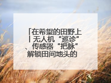 在希望的田野上丨无人机“巡诊”、传感器“把脉” 解锁田间地头的丰收密码