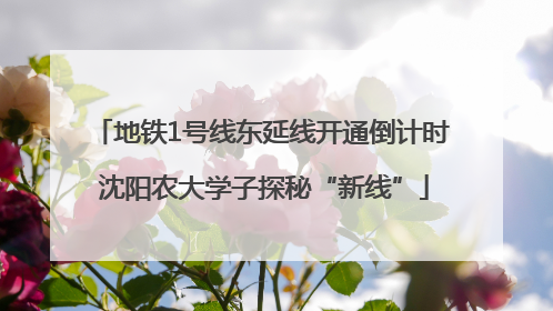 地铁1号线东延线开通倒计时 沈阳农大学子探秘“新线”