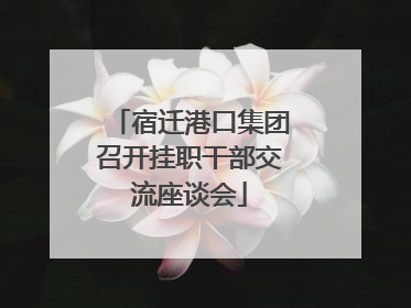 宿迁港口集团召开挂职干部交流座谈会