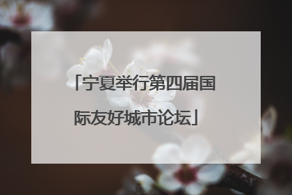 宁夏举行第四届国际友好城市论坛