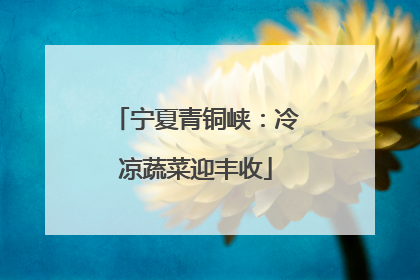 宁夏青铜峡：冷凉蔬菜迎丰收