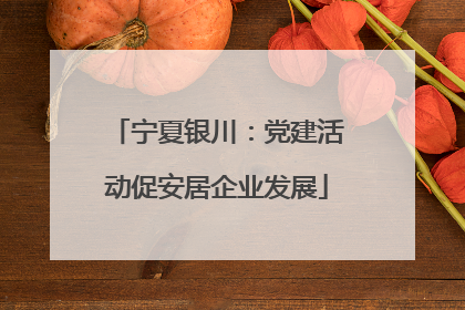 宁夏银川：党建活动促安居企业发展