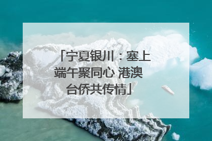 宁夏银川：塞上端午聚同心 港澳台侨共传情