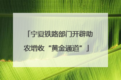 宁夏铁路部门开辟助农增收“黄金通道”