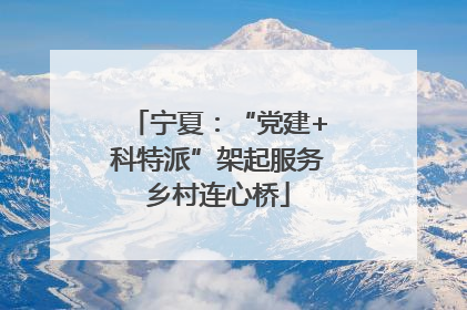 宁夏：“党建+科特派”架起服务乡村连心桥