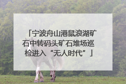 宁波舟山港鼠浪湖矿石中转码头矿石堆场巡检进入“无人时代”
