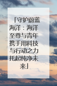 守护蔚蓝海洋：海洋至尊与青年携手用科技与行动之力托起纯净未来