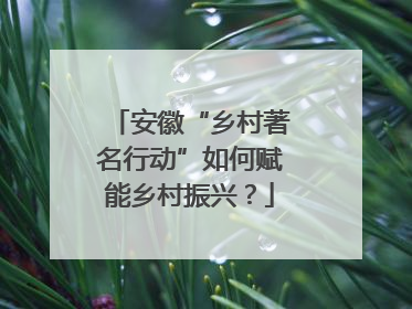 安徽“乡村著名行动”如何赋能乡村振兴？