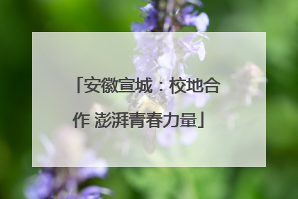 安徽宣城：校地合作 澎湃青春力量