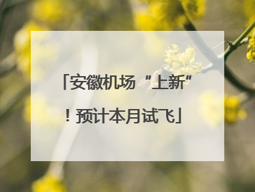 安徽机场“上新”！预计本月试飞