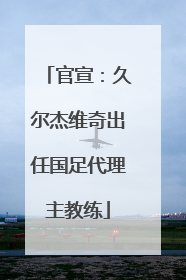 官宣：久尔杰维奇出任国足代理主教练
