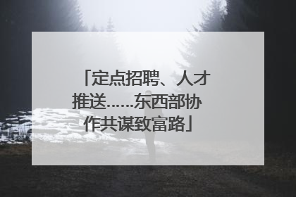 定点招聘、人才推送……东西部协作共谋致富路