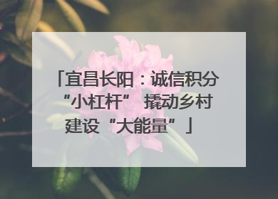 宜昌长阳：诚信积分“小杠杆” 撬动乡村建设“大能量”