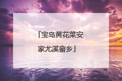 宝岛黄花菜安家尤溪畲乡