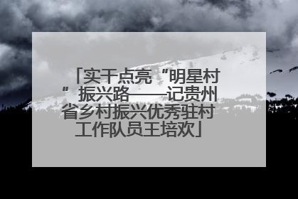 实干点亮“明星村”振兴路——记贵州省乡村振兴优秀驻村工作队员王培欢