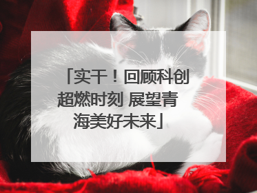 实干！回顾科创超燃时刻 展望青海美好未来