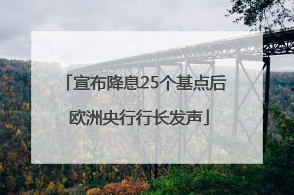 宣布降息25个基点后 欧洲央行行长发声