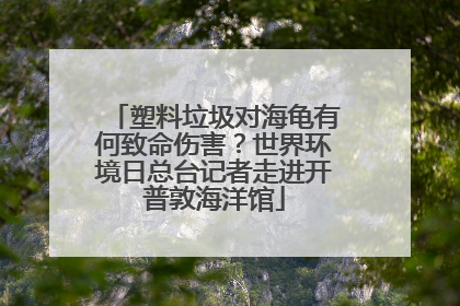 塑料垃圾对海龟有何致命伤害？世界环境日总台记者走进开普敦海洋馆