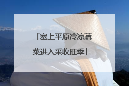 塞上平原冷凉蔬菜进入采收旺季