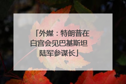 外媒：特朗普在白宫会见巴基斯坦陆军参谋长