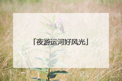 夜游运河好风光