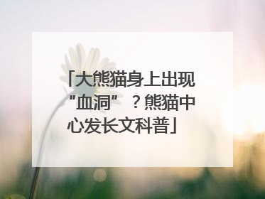 大熊猫身上出现“血洞”？熊猫中心发长文科普