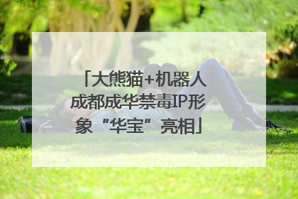 大熊猫+机器人 成都成华禁毒IP形象“华宝”亮相