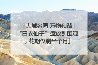 大城名园 万物和谐│“白衣仙子”盛放引围观，花期仅剩半个月