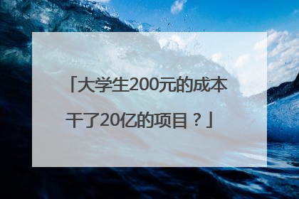 大学生200元的成本干了20亿的项目？