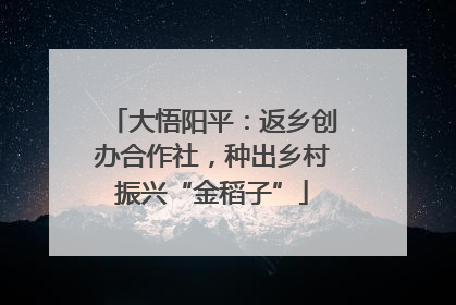 大悟阳平：返乡创办合作社，种出乡村振兴“金稻子”