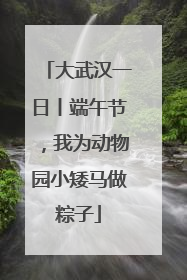 大武汉一日丨端午节，我为动物园小矮马做粽子