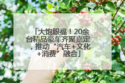 大饱眼福!20余台精品豪车齐聚嘉定,推动“汽车+文化+消费”融合