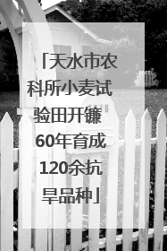 天水市农科所小麦试验田开镰 60年育成120余抗旱品种