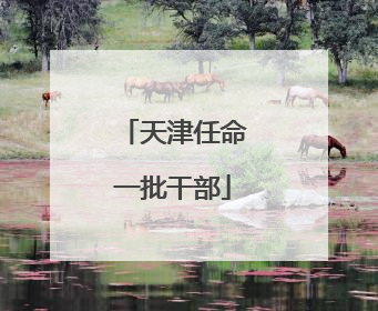 天津任命一批干部