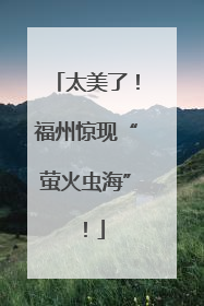 太美了！福州惊现“萤火虫海”！