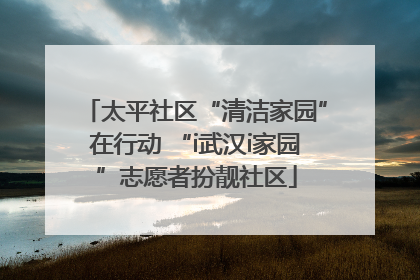 太平社区“清洁家园”在行动 “i武汉i家园”志愿者扮靓社区