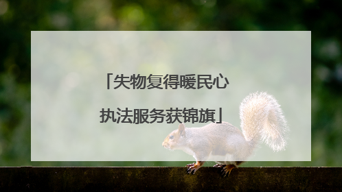失物复得暖民心 执法服务获锦旗