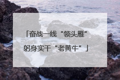 奋战一线“领头雁” 躬身实干“老黄牛”