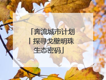 奔流城市计划丨探寻戈壁明珠生态密码