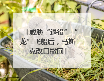 威胁“退役”“龙”飞船后，马斯克改口撤回