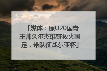 媒体：原U20国青主帅久尔杰维奇救火国足，带队征战东亚杯