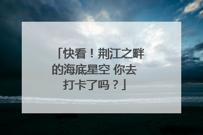 快看！荆江之畔的海底星空 你去打卡了吗？
