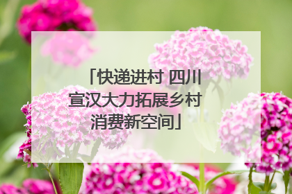 快递进村 四川宣汉大力拓展乡村消费新空间