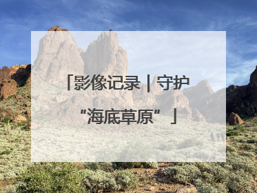 影像记录｜守护“海底草原”