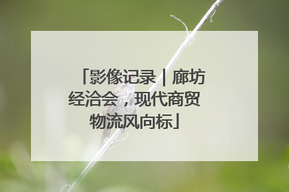 影像记录｜廊坊经洽会，现代商贸物流风向标