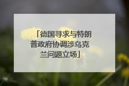 德国寻求与特朗普政府协调涉乌克兰问题立场